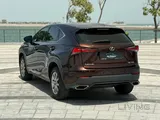 Lexus NX 300 2020